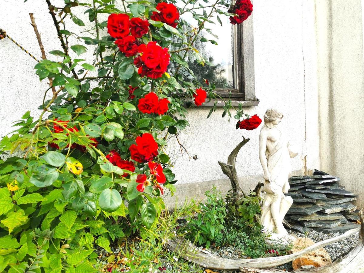 Ferienwohnung Am Bergmannsbrunnen Schönheide Dış mekan fotoğraf